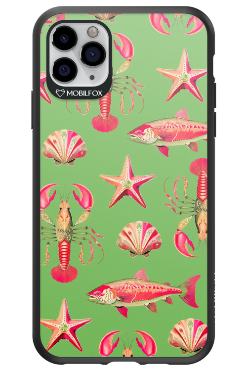 Sea Stars - Apple iPhone 11 Pro Max