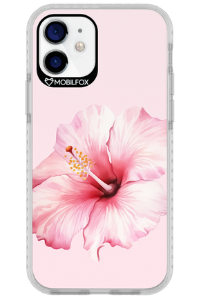 HibiPinky - Apple iPhone 12