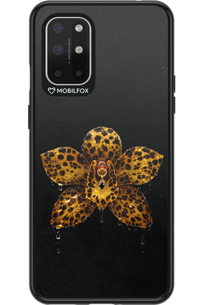 Wet & Wild 2.0 - OnePlus 8T