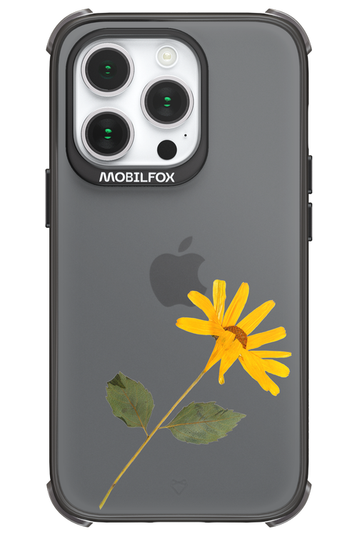 Pressed Flower - Apple iPhone 14 Pro