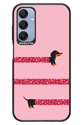 PAWS & KISSES 2.0 - Samsung A25