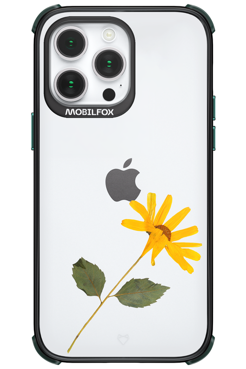 Pressed Flower - Apple iPhone 14 Pro Max