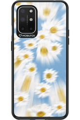 Wiltmille - OnePlus 8T