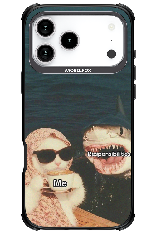 Responsibilities - Apple iPhone 17 Pro Max