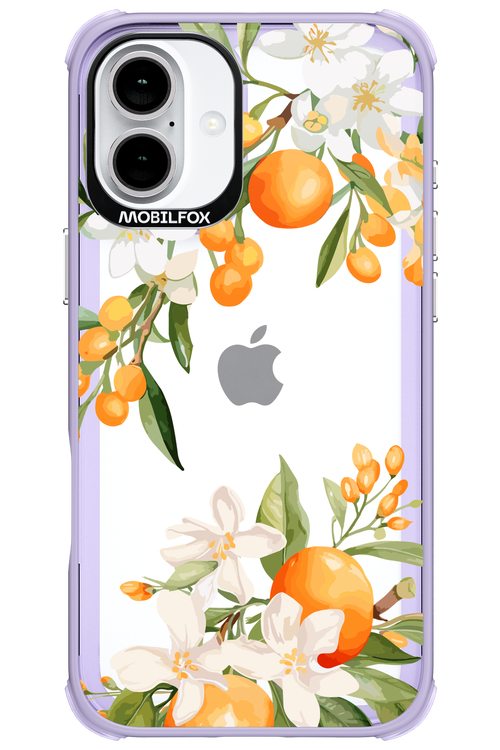 Amalfi Orange - Apple iPhone 16 Plus