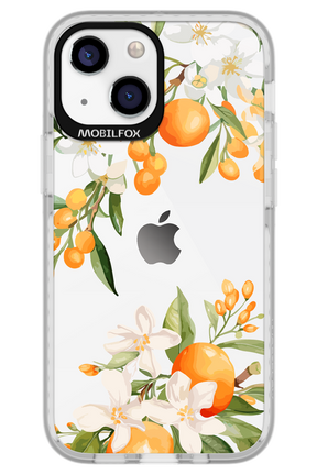 Amalfi Orange - Apple iPhone 13 Mini