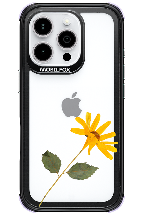 Pressed Flower - Apple iPhone 16 Pro