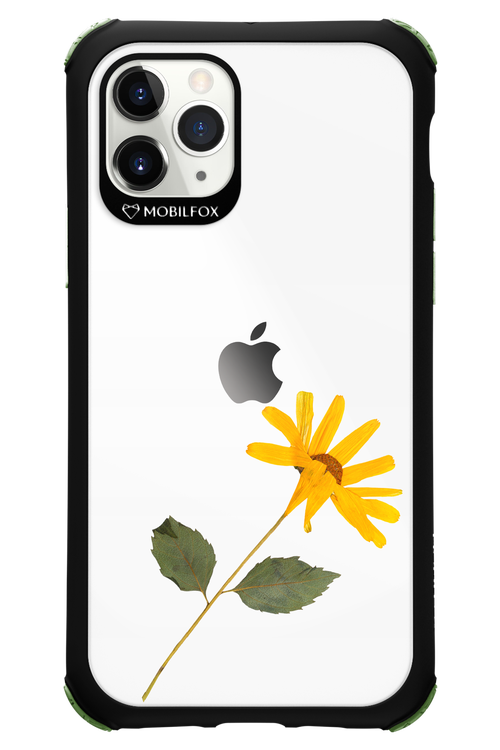 Pressed Flower - Apple iPhone 11 Pro