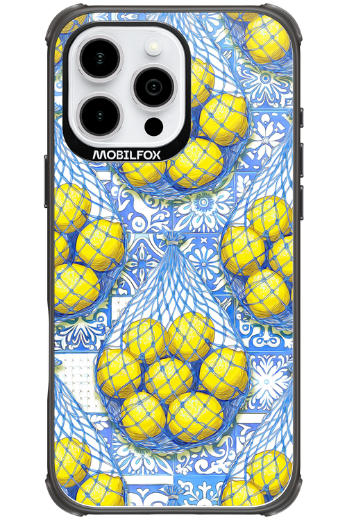 Net Style - Apple iPhone 16 Pro Max