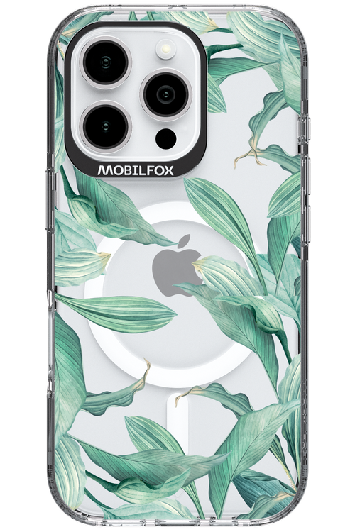 Greenpeace - Apple iPhone 16 Pro