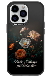 In time 2.0 - Apple iPhone 13 Pro