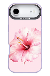 HibiPinky - Apple iPhone 17 Air