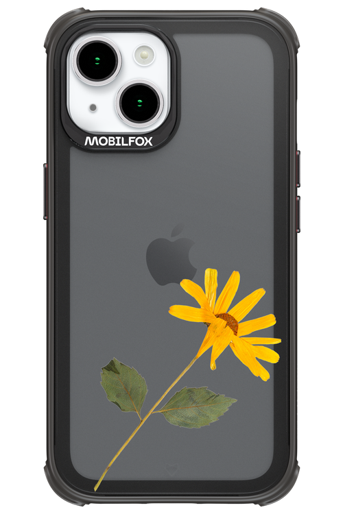 Pressed Flower - Apple iPhone 15