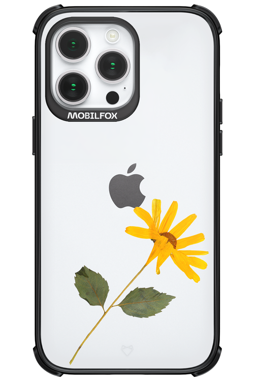 Pressed Flower - Apple iPhone 14 Pro Max