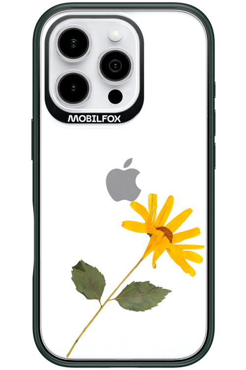 Pressed Flower - Apple iPhone 16 Pro