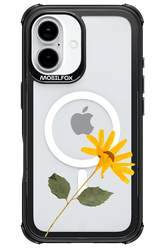Pressed Flower - Apple iPhone 16