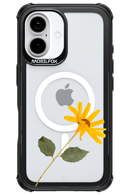 Pressed Flower - Apple iPhone 16