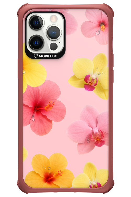 Sunset Flowers - Apple iPhone 12 Pro Max