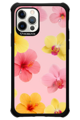 Sunset Flowers - Apple iPhone 12 Pro