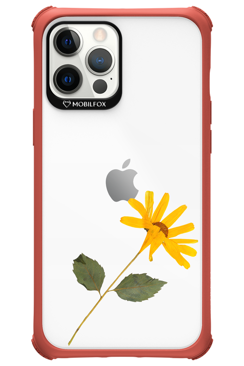 Pressed Flower - Apple iPhone 12 Pro Max