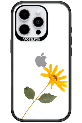 Pressed Flower - Apple iPhone 16 Pro