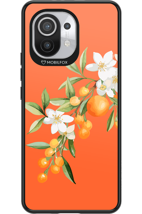 Amalfi Oranges - Xiaomi Mi 11 5G