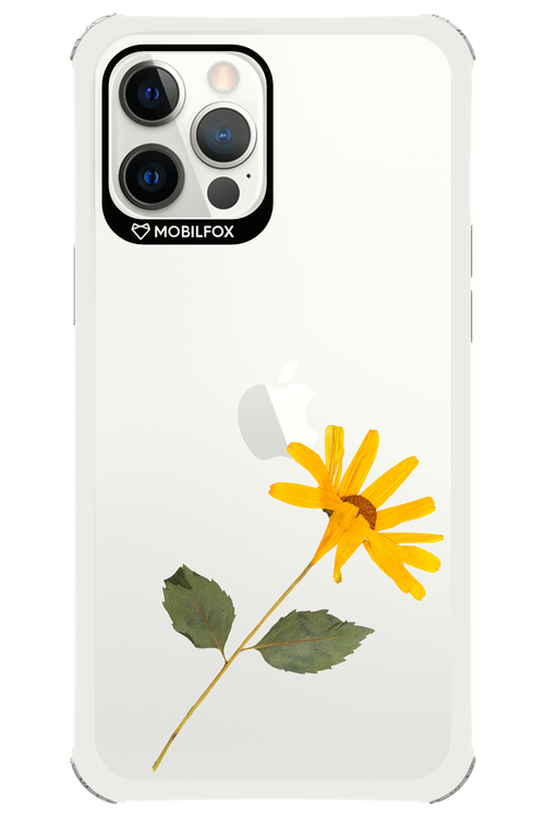 Pressed Flower - Apple iPhone 12 Pro Max