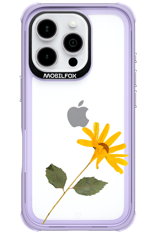 Pressed Flower - Apple iPhone 16 Pro