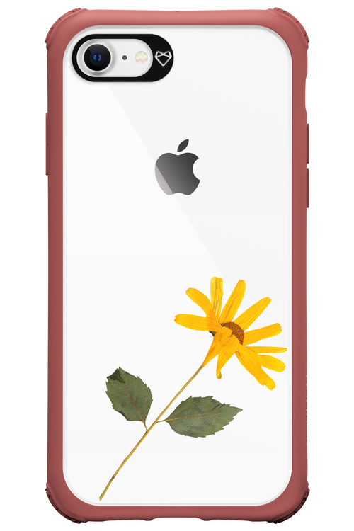 Pressed Flower - Apple iPhone 8