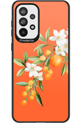 Amalfi Oranges - Samsung Galaxy A73