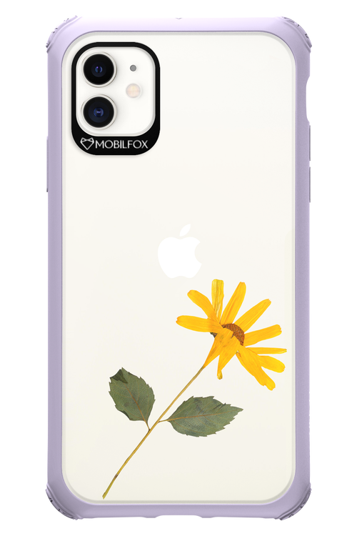 Pressed Flower - Apple iPhone 11