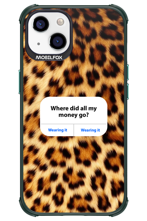 My Money 2.0 - Apple iPhone 13