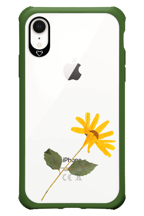 Pressed Flower - Apple iPhone XR