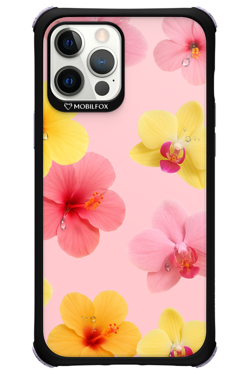 Sunset Flowers - Apple iPhone 12 Pro Max